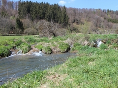 Im Fruehling 2019 (3)